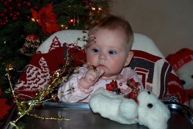 2008-11-28-13 Sydney early Christmas at Grandmas.jpg